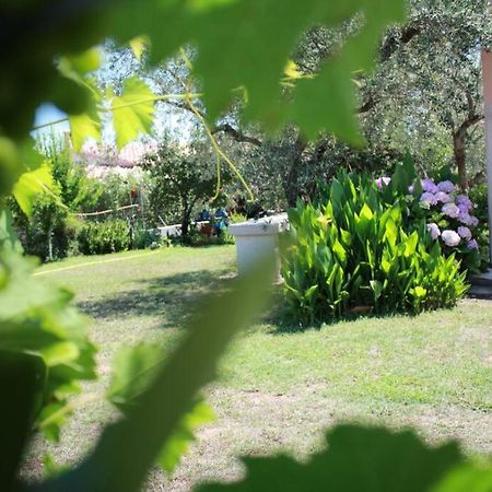 Villa Di Campagna Vicino Al Mare Orosei Eksteriør bilde