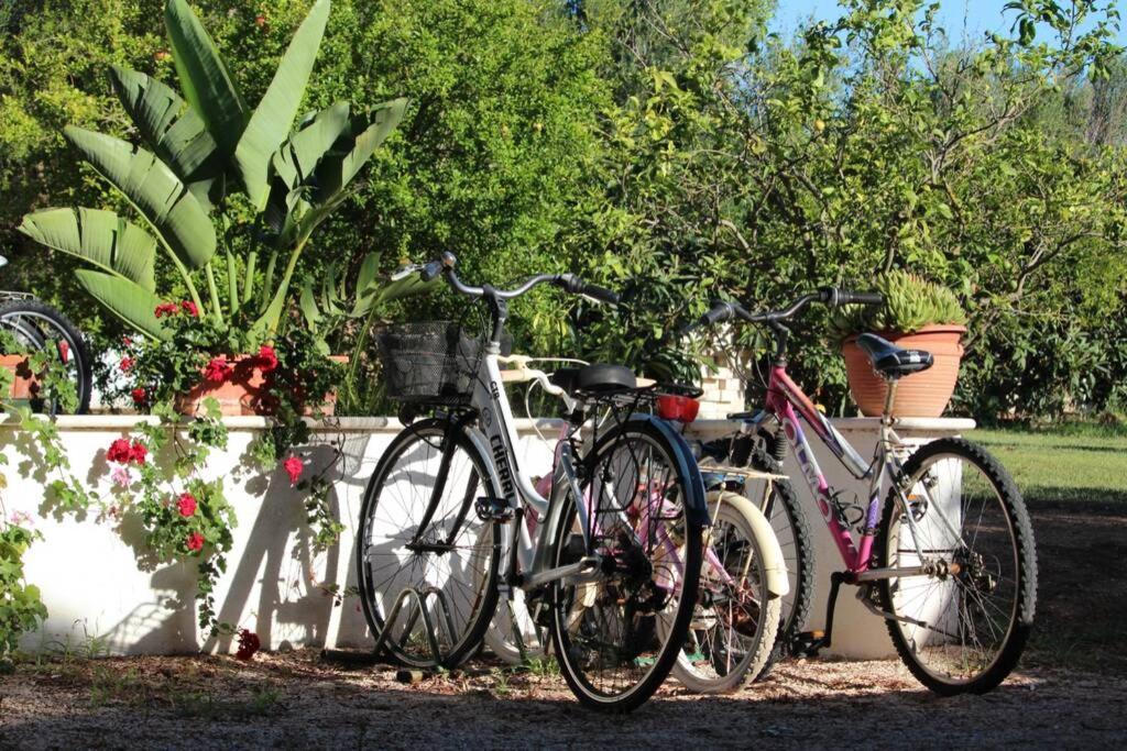 Villa Di Campagna Vicino Al Mare Orosei Eksteriør bilde