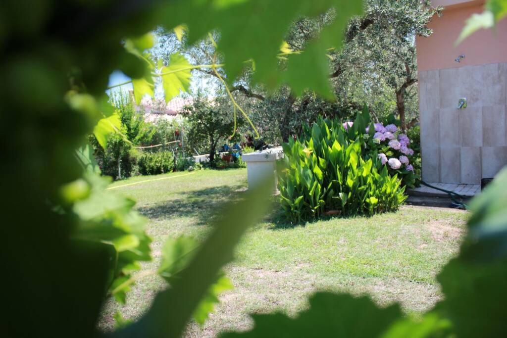 Villa Di Campagna Vicino Al Mare Orosei Eksteriør bilde